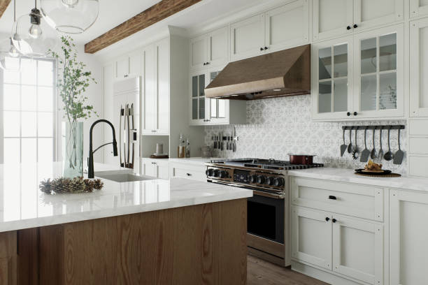 Dishwasher install Sammamish